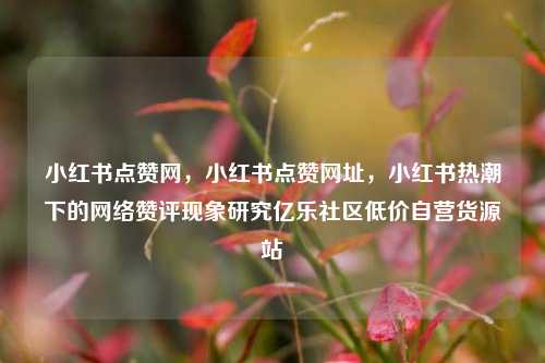 小红书点赞网，小红书点赞网址，小红书热潮下的网络赞评现象研究亿乐社区低价自营货源站  第1张