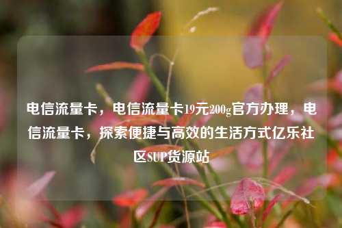 电信流量卡，电信流量卡19元200g官方办理，电信流量卡，探索便捷与高效的生活方式亿乐社区SUP货源站  第1张