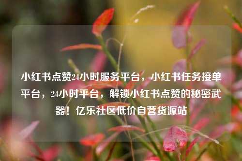 小红书点赞24小时服务平台，小红书任务接单平台	，24小时平台，解锁小红书点赞的秘密武器！亿乐社区低价自营货源站  第1张
