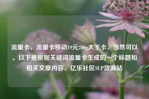 流量卡，流量卡移动19元200g大王卡，当然可以。以下是根据关键词流量卡生成的一个标题和相关文章内容	，亿乐社区SUP货源站  第1张