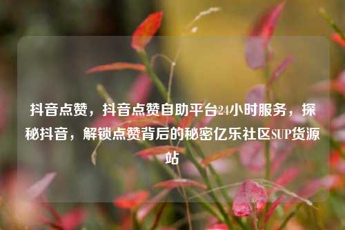 抖音点赞，抖音点赞自助平台24小时服务，探秘抖音，解锁点赞背后的秘密亿乐社区SUP货源站  第1张