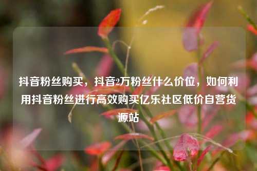 抖音粉丝购买	，抖音2万粉丝什么价位，如何利用抖音粉丝进行高效购买亿乐社区低价自营货源站  第1张