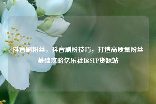 抖音刷粉丝，抖音刷粉技巧，打造高质量粉丝基础攻略亿乐社区SUP货源站  第1张