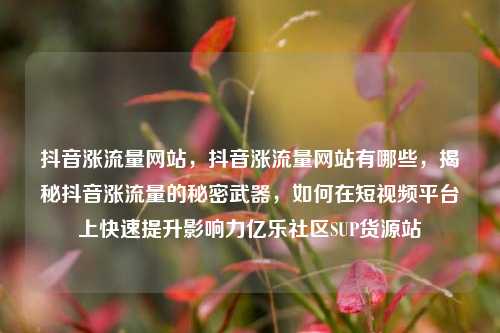 抖音涨流量网站，抖音涨流量网站有哪些	，揭秘抖音涨流量的秘密武器，如何在短视频平台上快速提升影响力亿乐社区SUP货源站  第1张