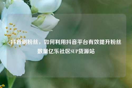 抖音刷粉丝，如何利用抖音平台有效提升粉丝数量亿乐社区SUP货源站  第1张