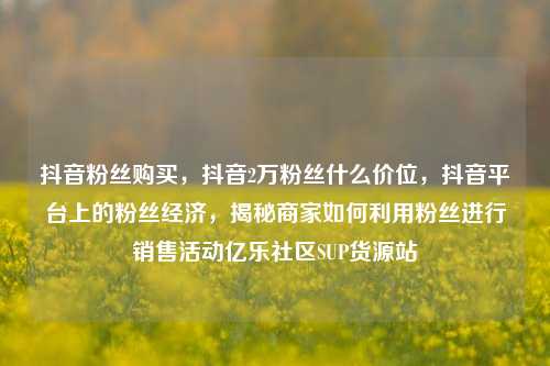 抖音粉丝购买，抖音2万粉丝什么价位，抖音平台上的粉丝经济，揭秘商家如何利用粉丝进行销售活动亿乐社区SUP货源站  第1张
