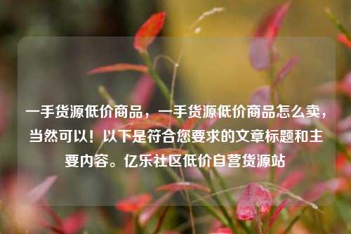 一手货源低价商品，一手货源低价商品怎么卖	，当然可以！以下是符合您要求的文章标题和主要内容	。亿乐社区低价自营货源站  第1张