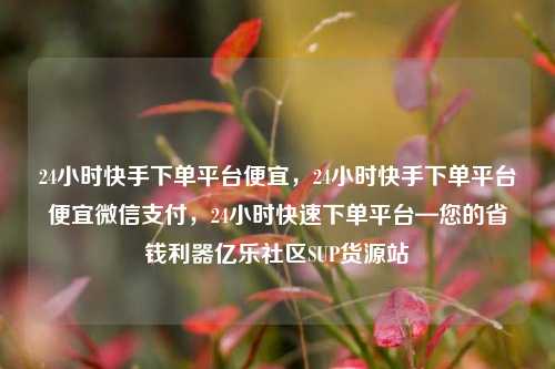 24小时快手下单平台便宜，24小时快手下单平台便宜微信支付，24小时快速下单平台—您的省钱利器亿乐社区SUP货源站  第1张
