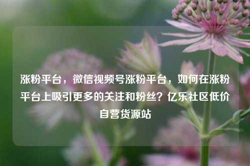涨粉平台，微信视频号涨粉平台	，如何在涨粉平台上吸引更多的关注和粉丝？亿乐社区低价自营货源站  第1张