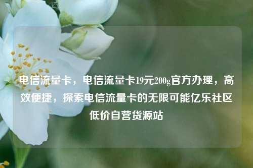 电信流量卡，电信流量卡19元200g官方办理，高效便捷	，探索电信流量卡的无限可能亿乐社区低价自营货源站  第1张