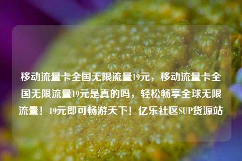 移动流量卡全国无限流量19元，移动流量卡全国无限流量19元是真的吗	，轻松畅享全球无限流量！19元即可畅游天下！亿乐社区SUP货源站  第1张
