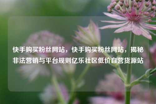 快手购买粉丝网站	，快手购买粉丝网站，揭秘非法营销与平台规则亿乐社区低价自营货源站  第1张