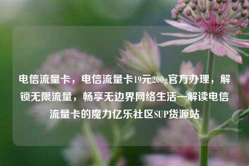 电信流量卡	，电信流量卡19元200g官方办理，解锁无限流量，畅享无边界网络生活—解读电信流量卡的魔力亿乐社区SUP货源站  第1张