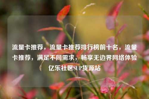 流量卡推荐	，流量卡推荐排行榜前十名，流量卡推荐，满足不同需求	，畅享无边界网络体验亿乐社区SUP货源站  第1张