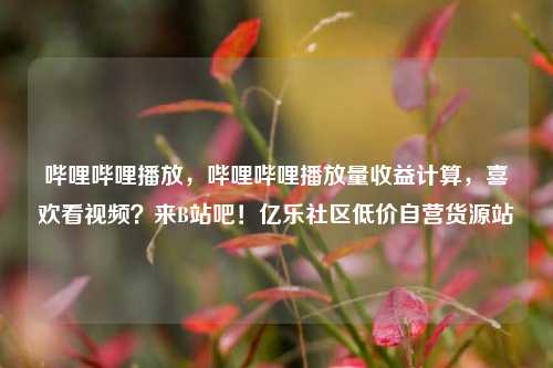 哔哩哔哩播放，哔哩哔哩播放量收益计算，喜欢看视频？来B站吧！亿乐社区低价自营货源站  第1张