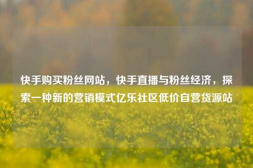 快手购买粉丝网站，快手直播与粉丝经济	，探索一种新的营销模式亿乐社区低价自营货源站  第1张