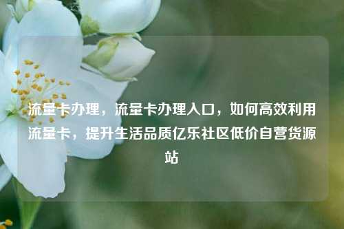 流量卡办理	，流量卡办理入口，如何高效利用流量卡，提升生活品质亿乐社区低价自营货源站  第1张