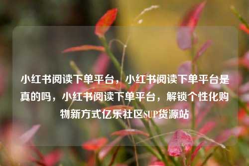 小红书阅读下单平台，小红书阅读下单平台是真的吗	，小红书阅读下单平台，解锁个性化购物新方式亿乐社区SUP货源站  第1张