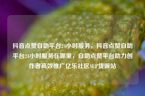 抖音点赞自助平台24小时服务，抖音点赞自助平台24小时服务在哪里	，自助点赞平台助力创作者高效推广亿乐社区SUP货源站  第1张