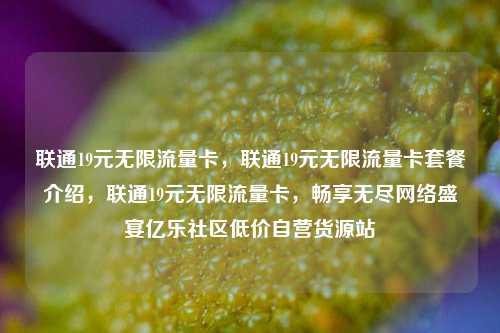 联通19元无限流量卡，联通19元无限流量卡套餐介绍，联通19元无限流量卡	，畅享无尽网络盛宴亿乐社区低价自营货源站  第1张