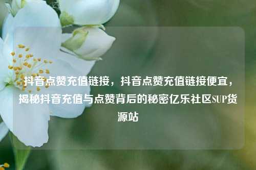 抖音点赞充值链接	，抖音点赞充值链接便宜，揭秘抖音充值与点赞背后的秘密亿乐社区SUP货源站  第1张