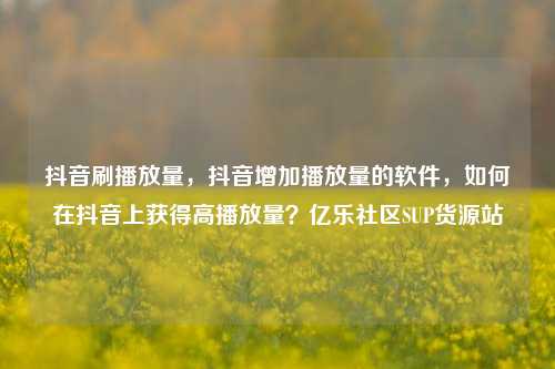 抖音刷播放量，抖音增加播放量的软件	，如何在抖音上获得高播放量？亿乐社区SUP货源站  第1张