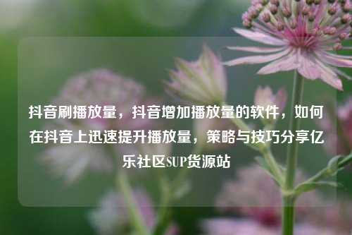 抖音刷播放量	，抖音增加播放量的软件，如何在抖音上迅速提升播放量，策略与技巧分享亿乐社区SUP货源站  第1张