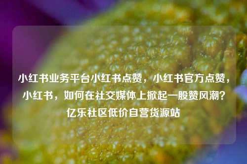 小红书业务平台小红书点赞	，小红书官方点赞，小红书，如何在社交媒体上掀起一股赞风潮？亿乐社区低价自营货源站  第1张