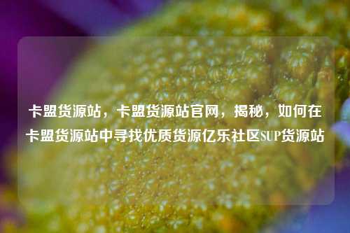 卡盟货源站，卡盟货源站官网	，揭秘，如何在卡盟货源站中寻找优质货源亿乐社区SUP货源站  第1张