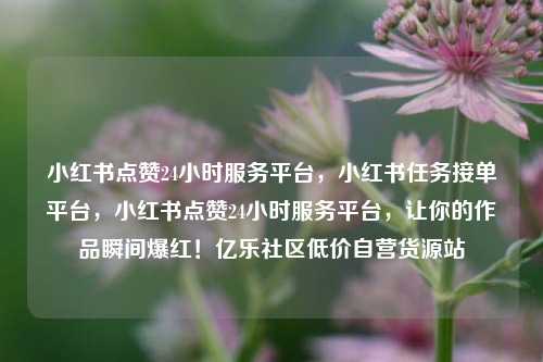 小红书点赞24小时服务平台，小红书任务接单平台	，小红书点赞24小时服务平台，让你的作品瞬间爆红！亿乐社区低价自营货源站  第1张