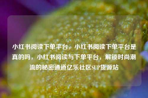 小红书阅读下单平台，小红书阅读下单平台是真的吗，小红书阅读与下单平台	，解锁时尚潮流的秘密通道亿乐社区SUP货源站  第1张