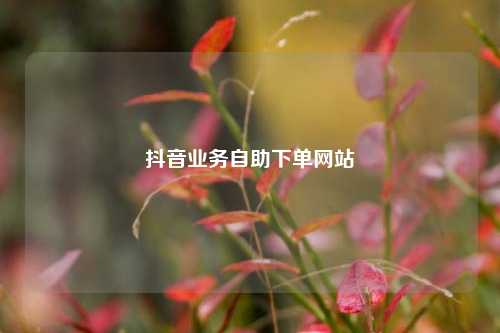 抖音业务自助下单网站  第1张