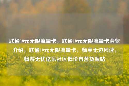 联通19元无限流量卡，联通19元无限流量卡套餐介绍	，联通19元无限流量卡，畅享无边网速，畅游无忧亿乐社区低价自营货源站  第1张