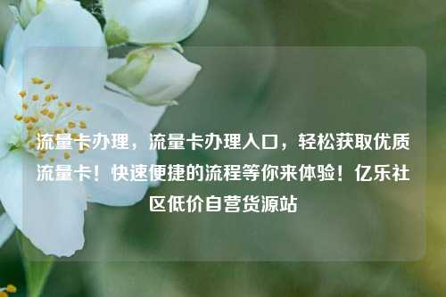流量卡办理，流量卡办理入口，轻松获取优质流量卡！快速便捷的流程等你来体验！亿乐社区低价自营货源站  第1张