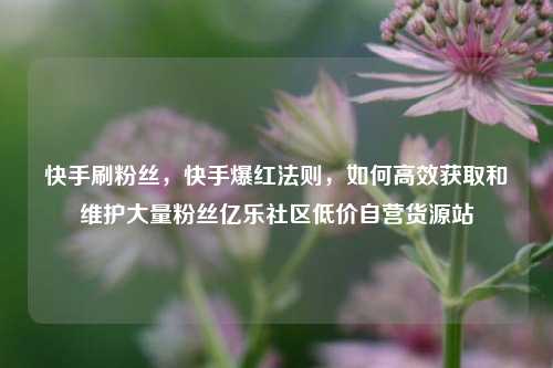 快手刷粉丝，快手爆红法则	，如何高效获取和维护大量粉丝亿乐社区低价自营货源站  第1张