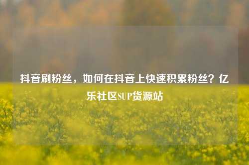 抖音刷粉丝，如何在抖音上快速积累粉丝？亿乐社区SUP货源站  第1张