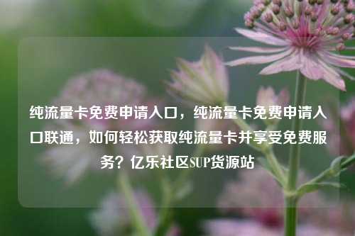 纯流量卡免费申请入口，纯流量卡免费申请入口联通，如何轻松获取纯流量卡并享受免费服务？亿乐社区SUP货源站  第1张