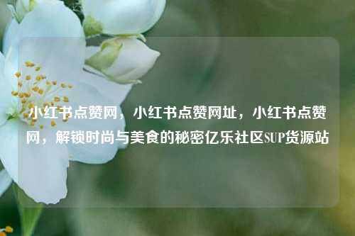 小红书点赞网，小红书点赞网址，小红书点赞网，解锁时尚与美食的秘密亿乐社区SUP货源站  第1张