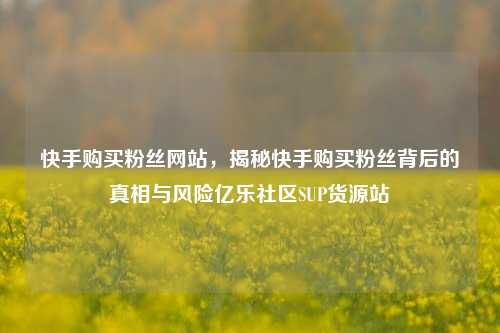 快手购买粉丝网站，揭秘快手购买粉丝背后的真相与风险亿乐社区SUP货源站  第1张