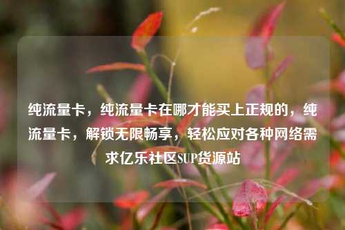 纯流量卡，纯流量卡在哪才能买上正规的	，纯流量卡，解锁无限畅享，轻松应对各种网络需求亿乐社区SUP货源站  第1张