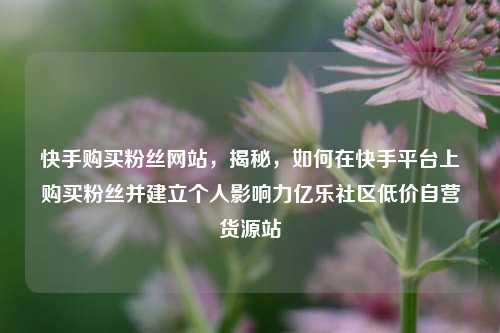 快手购买粉丝网站	，揭秘，如何在快手平台上购买粉丝并建立个人影响力亿乐社区低价自营货源站  第1张