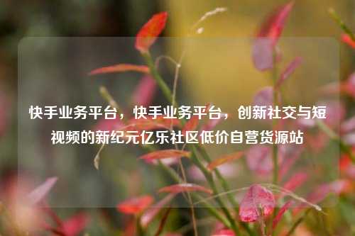 快手业务平台	，快手业务平台，创新社交与短视频的新纪元亿乐社区低价自营货源站  第1张