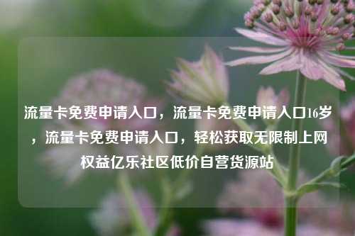 流量卡免费申请入口，流量卡免费申请入口16岁，流量卡免费申请入口	，轻松获取无限制上网权益亿乐社区低价自营货源站  第1张