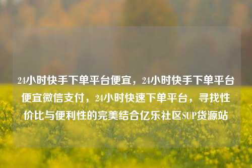 24小时快手下单平台便宜，24小时快手下单平台便宜微信支付，24小时快速下单平台	，寻找性价比与便利性的完美结合亿乐社区SUP货源站  第1张