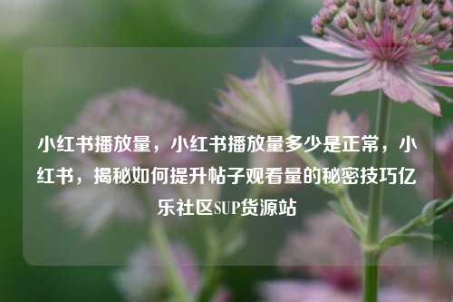 小红书播放量	，小红书播放量多少是正常，小红书，揭秘如何提升帖子观看量的秘密技巧亿乐社区SUP货源站  第1张
