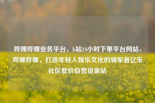 哔哩哔哩业务平台，b站24小时下单平台网站，哔哩哔哩	，打造年轻人娱乐文化的领军者亿乐社区低价自营货源站  第1张