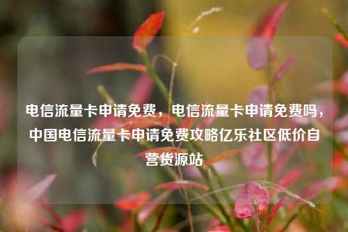 电信流量卡申请免费	，电信流量卡申请免费吗，中国电信流量卡申请免费攻略亿乐社区低价自营货源站  第1张