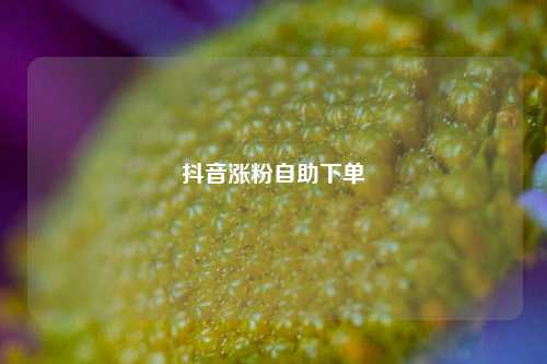 抖音涨粉自助下单  第1张