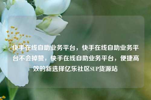 快手在线自助业务平台，快手在线自助业务平台不会掉赞	，快手在线自助业务平台，便捷高效的新选择亿乐社区SUP货源站  第1张