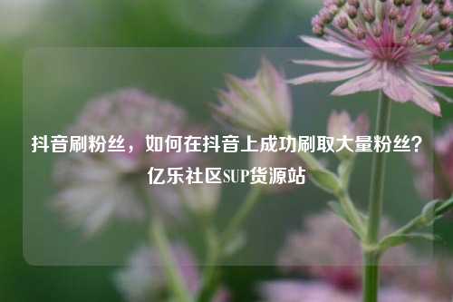抖音刷粉丝，如何在抖音上成功刷取大量粉丝？亿乐社区SUP货源站  第1张